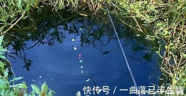 时机|传统钓抬竿时机的把握,增加鱼获只需掌握这几点