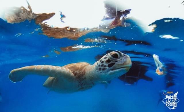 《秘境指南》第二季开播，带憋坏了的你远眺世界