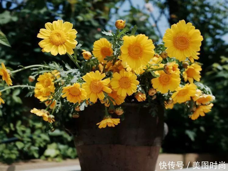 130㎡大露台,花1年改造成“花草蔬果园”,体验屋顶上的田园生活