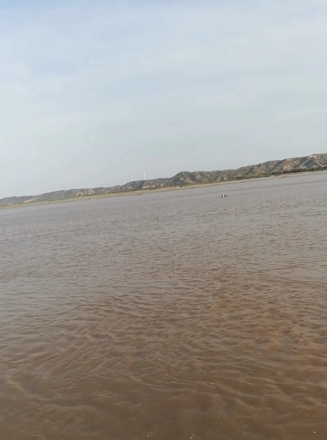 浑水也能钓鱼,老司机漫谈夏季浑水钓鱼技巧