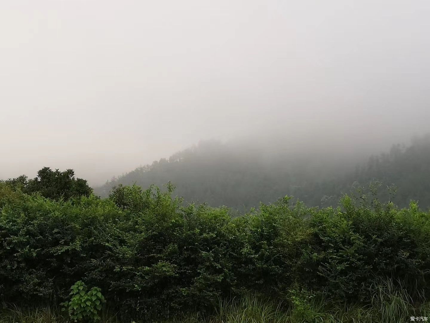 早知神仙居，何必去黄山