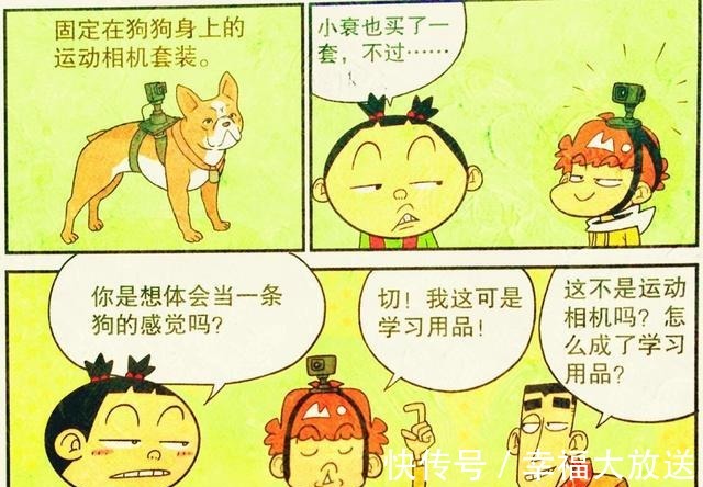 秘密|脸脸“复古马尾辫”发现新秘密马尾竟能下蛋，衰衰反成模仿达人