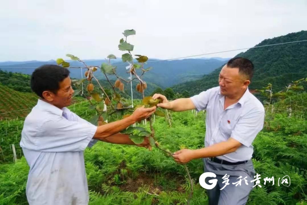 黎明村|他是贵州唯一的北京冬奥会火炬手 连任了六届村支书