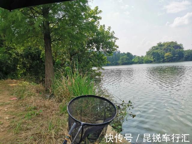 都说大降温不适合钓鱼,有人却在偷偷“发财”,实战才是王道