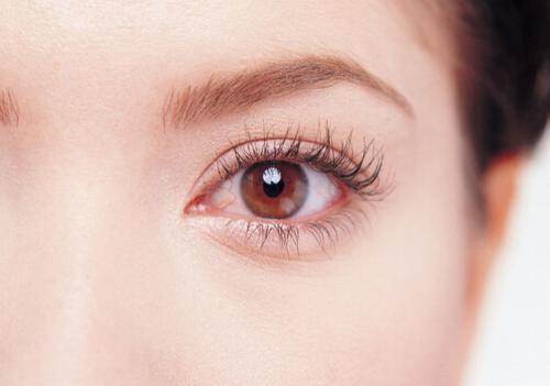 桂圆|“补血王”被发现，红枣靠边站，平时可劲喝，把气血慢慢补回来