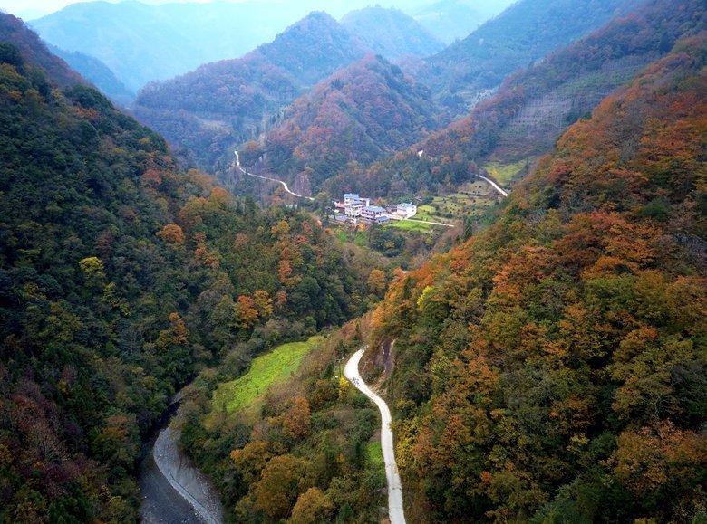 徐塘|平武有座山红透了！山上这条云端上的彩林公路秋色如画