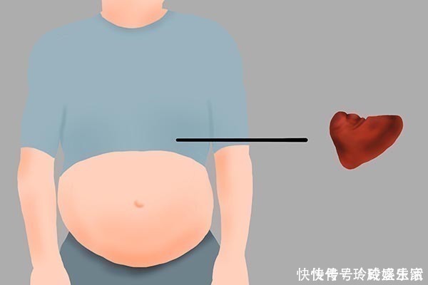 养脾|脾虚,身体就毁了一半!牢记夏季养脾法,健脾益气,脾会强大起来