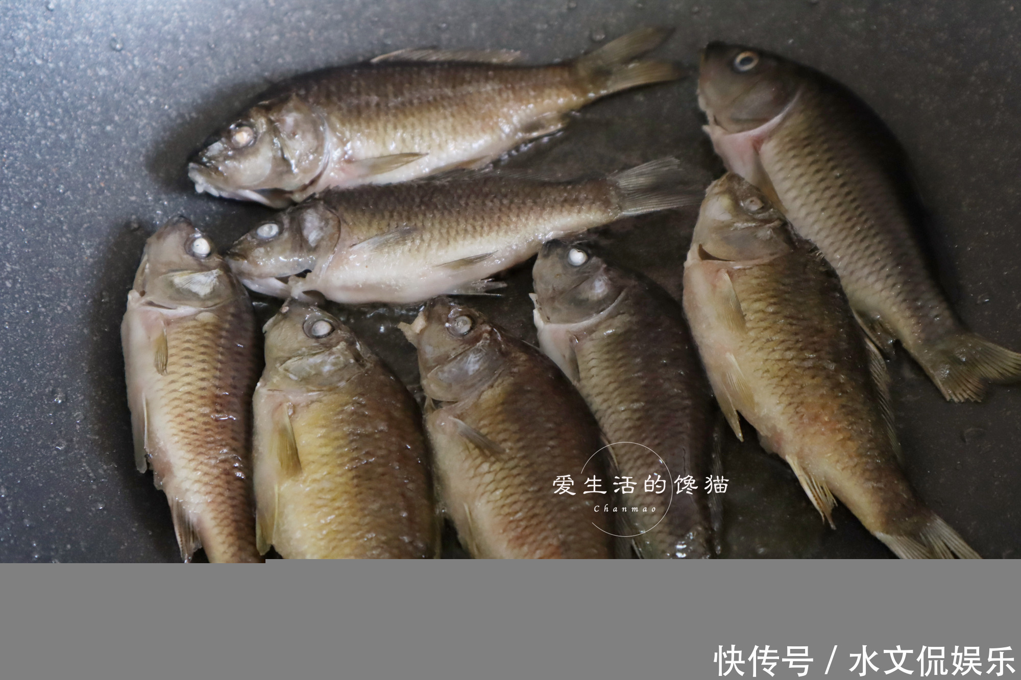 鱼肉|碰上这鱼我从不手软,一次买3斤,焖一锅,鲜嫩美味,多吃一碗饭