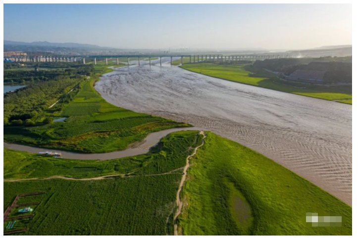 黄河|三门峡：黄河滩涂地上的绿色草原