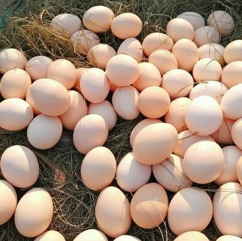 雞蛋和此物一起吃，保護(hù)視力，調(diào)理脾胃，腰腿不酸，皮膚更細(xì)膩