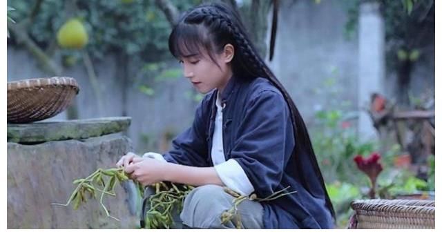 社交平台|李子柒不是明星艺人，她成名后吸引了观众，结果在社交平台发文