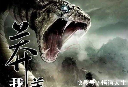 星辰变&我吃西红柿5大小说排行星辰变垫底、九鼎记未上榜,盘龙仅第二!