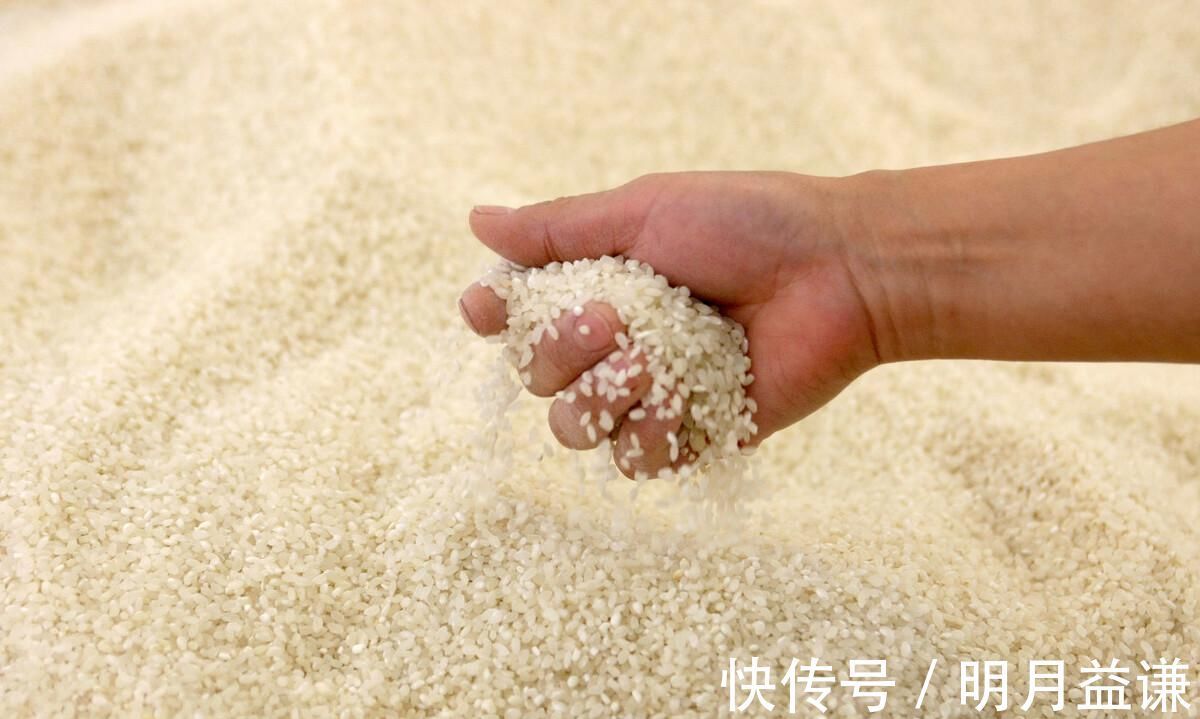 发霉|3种“最伤身”的大米,白给都不能吃,有人就是不听,整袋往家扛