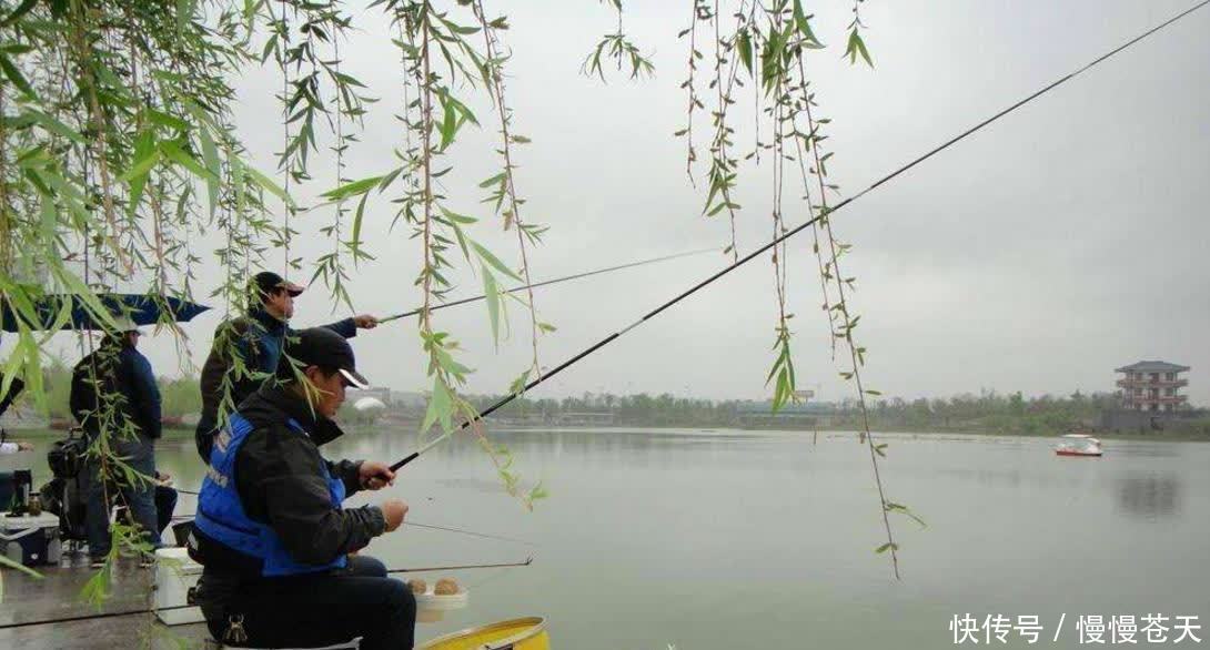 春天钓鱼,为啥新手扎堆的好天气都不上鱼?因为那天气不是好天气
