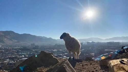 「西藏」永恒的太阳，灵魂的故乡