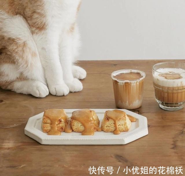 辜负|看了这位小姐姐的精致下午茶,甜品与猫,不可辜负