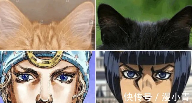 太宰治|把动漫人物换成“猫猫头”,人物顿时显得可爱了,但布姐yyds