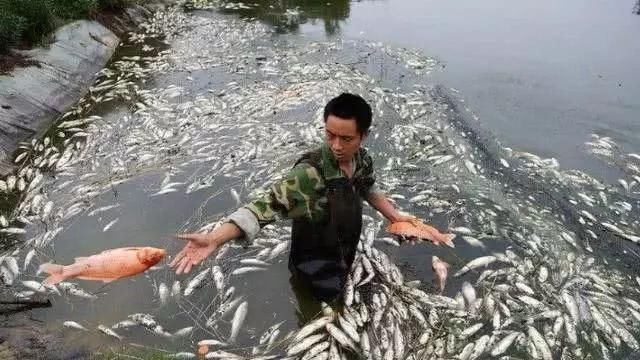 这五种人是“无知”还是“无耻”?钓鱼人看在眼里,急在心里