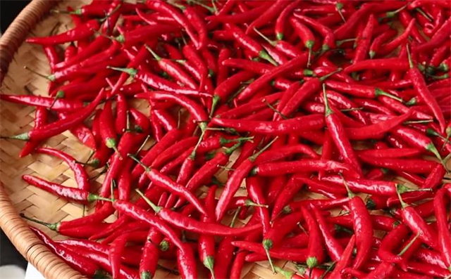 做剁椒酱的季节到了，20年秘制配方告诉你，又香又辣，拌啥都好吃
