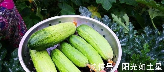 6种不怕过期蔬菜,家里囤点从夏吃到冬,如今多买点,秋冬有好菜!