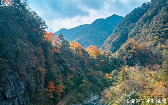 秘境|媲美光雾山！平武这条沟，藏着一个惊艳的彩林秘境！