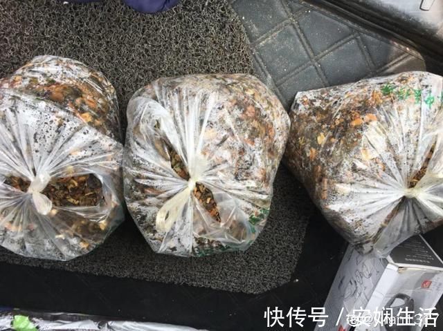 达克宁软膏|1粒小药片,碾碎丢水里,花像吃了兴奋剂疯长