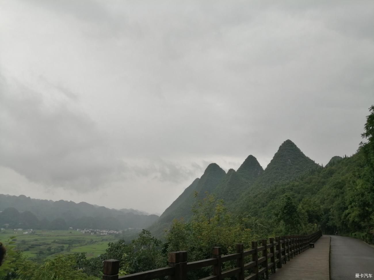 天下山峰何其多，唯有此处峰成林