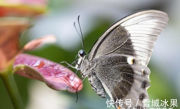 水瓶座|近几天，沧海桑田，天降横财，贵人青睐，转身离去，余生爱的疯狂