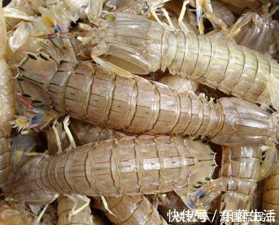 鲍鱼|吃海鲜也要讲究“时令”,老渔民不会告诉你的海鲜日历,请收好