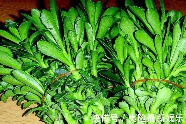 保健|农村这种药食两用的野草,常吃能降三高,对人体心脏有保健作用