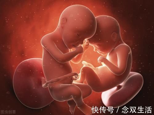 遗传基因|双胞胎长得不一样,爸爸坚持做亲子鉴定,结果出来全家都乱了