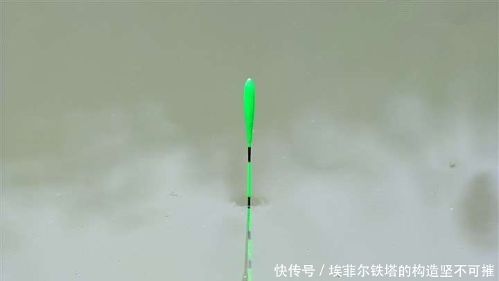 鱼口杂乱无实口,调低钓高这么调,马上竿竿都是死口