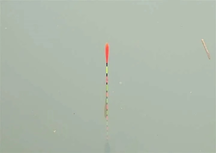 鲤鱼这钓法,我用了30年,每次渔获几十斤!