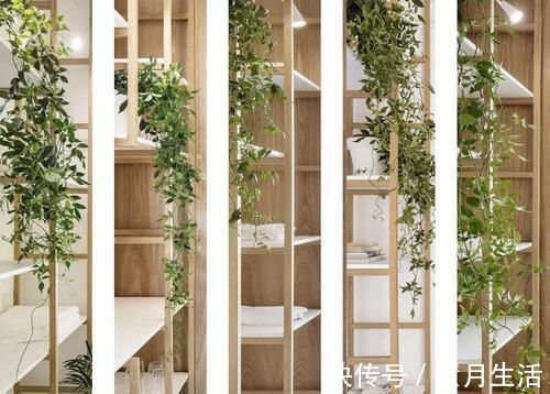 打通|他将2套小户型打通改成4室,做23米柜子,装滑动门,空间无限大