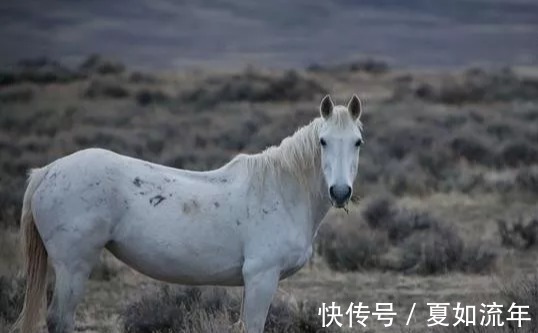 庚五行属金|90年属马人和谁在一起最配月老搭线错不了！