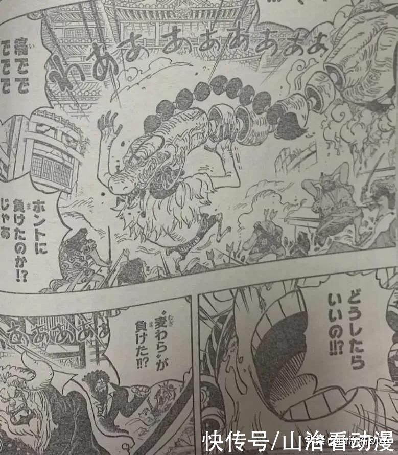 1015话：山治一脚踢碎疫|海贼王1015话：山治一脚踢碎疫灾奎因的獠牙，索隆交给乔巴医治