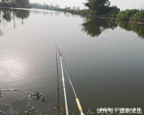 粗尾|用加粗尾浮漂野钓,调漂不对难上鱼,老钓友解析加粗尾的调钓方法