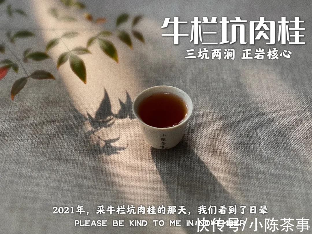 买茶名、买包装、买大全…4个常见的行为，都是买六大茶类的禁忌