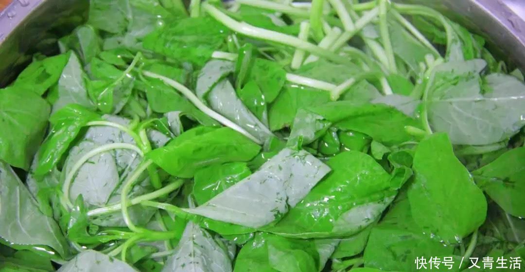 老婆|老婆坚持每天晚上吃这菜，一个月瘦了13斤，同事夸身材越来越好