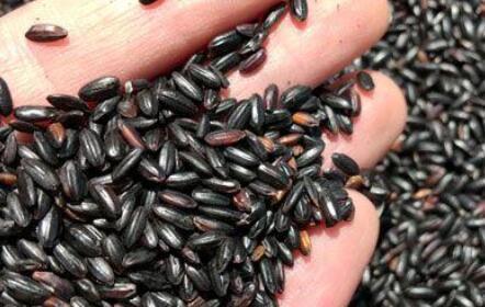 生蚝|藏在身边的雄性激素,男人不爱吃也要吃点,助你好肾脏