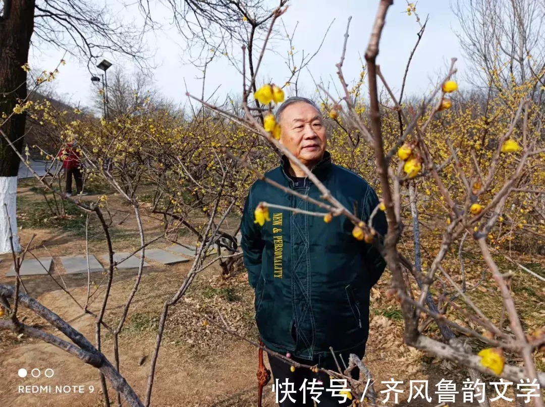 散文!卜算子.梅园惊鸿/张荣才原创诗词