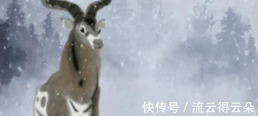 水墨|一到这儿,DNA就动了专访上美影厂长速达
