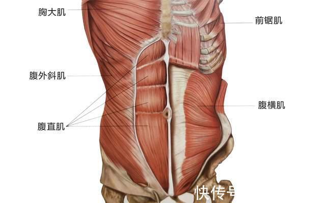 卧推凳腹肌锻炼法|39岁韩国模特，腹肌性感迷人，“卧推凳腹肌锻炼法”快速练同款