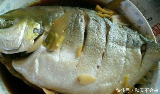 媳妇做清蒸鲳鱼,不放食盐和料酒,原汁原味,鱼肉鲜嫩不腥也不柴