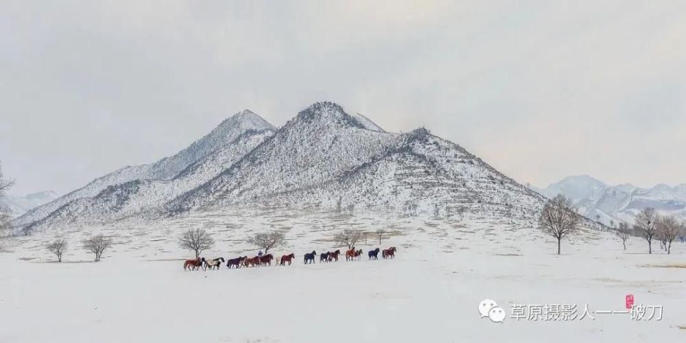 阿鲁科尔沁的冬季，美成了一首风花雪月的诗！