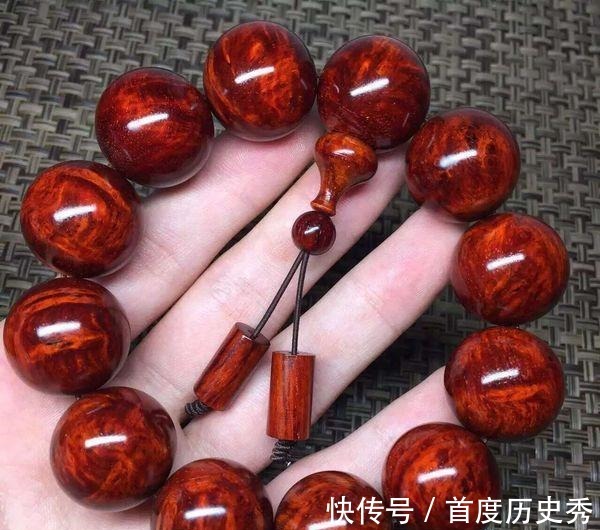 原来有钱人家都养这个花,镇宅,招财,这可是“帝王之木”!