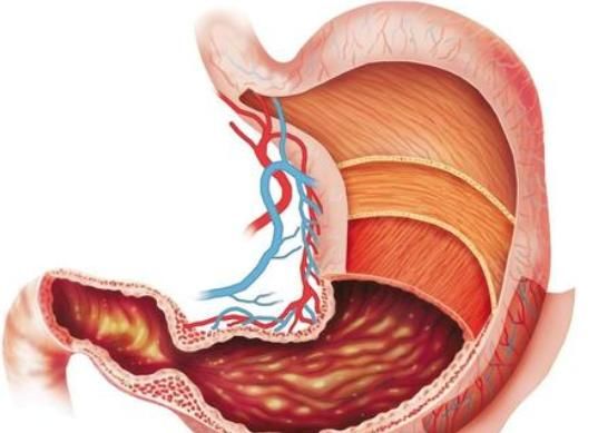  人会|耳朵有1个“能量环”，常按按五脏很少再“闹情绪”，很少人会用
