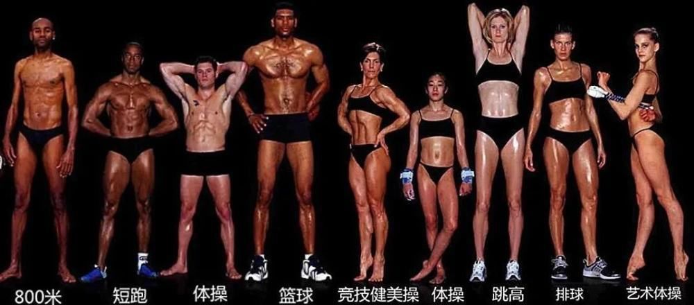 身高|打篮球长高,练体操变矮?别再被骗了,你的身高早已被基因定好了