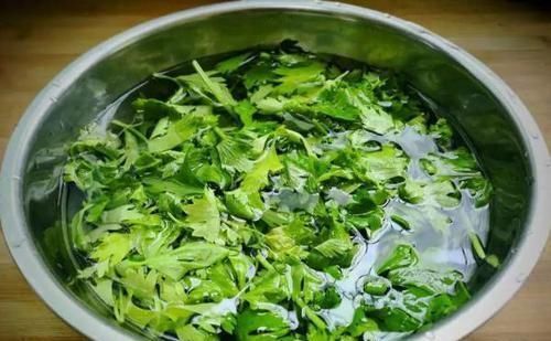 叶子|这菜拿来炒鸡蛋，比韭菜还香，平时总嫌弃，都是扔掉处理，可惜了