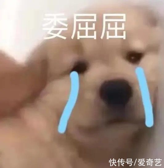 陈赫、郭京飞吃蒸海鲜超享受!下一秒却被“打包”带走?